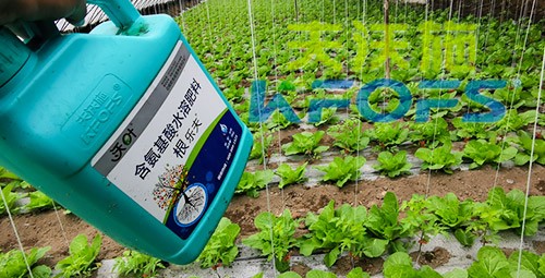 蔬菜用進口水溶肥，有什么突出效果？