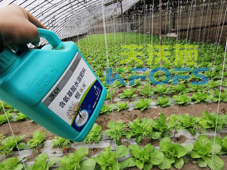蔬菜用進口水溶肥，有什么突出效果？