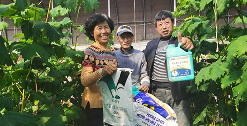 葡萄萌芽期管理技術(shù)在這里，值得收藏！