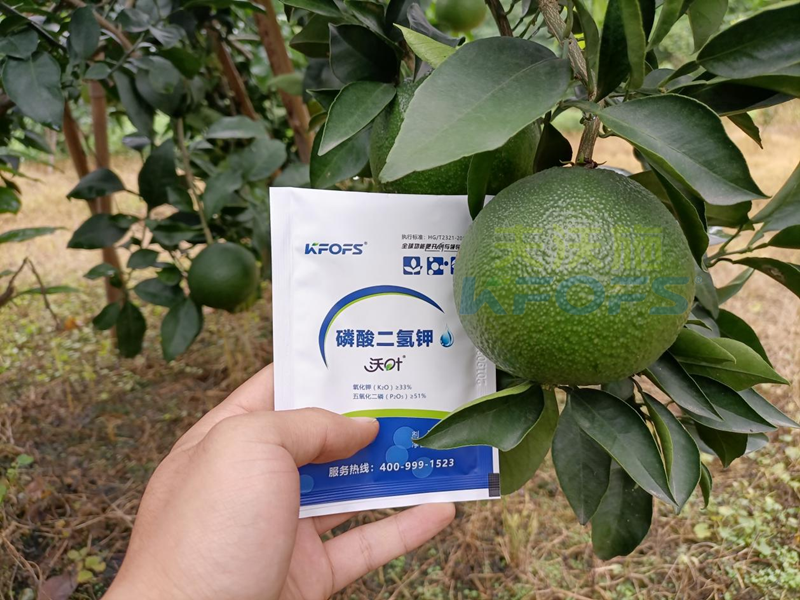 磷酸二氫鉀在果樹上使用有什么好處？