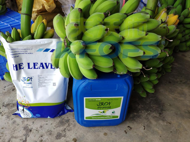 以色列水溶肥哪家好？千萬(wàn)別錯(cuò)過(guò)這家！