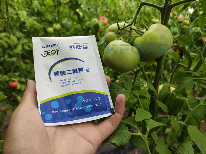 葉面肥磷酸二氫鉀，竟然這么好用！