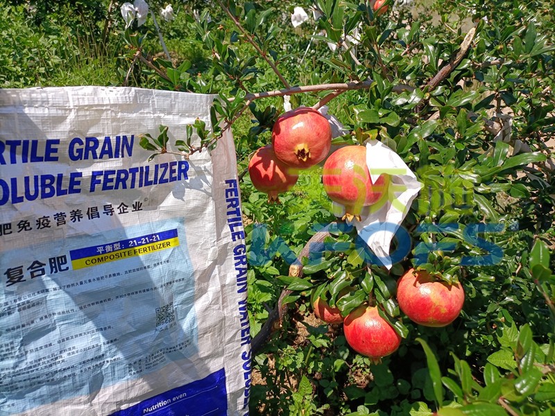 水溶肥是什么肥料，這么受歡迎？