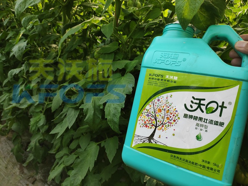 進(jìn)口水溶肥沃葉，值不值得選？