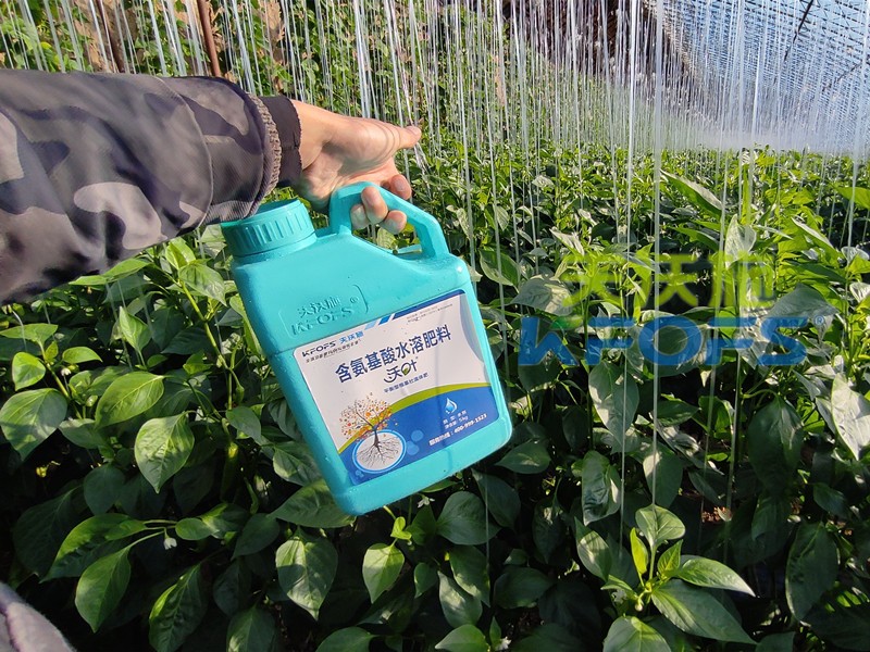 水溶肥一袋多少錢？哪個品牌值得選？