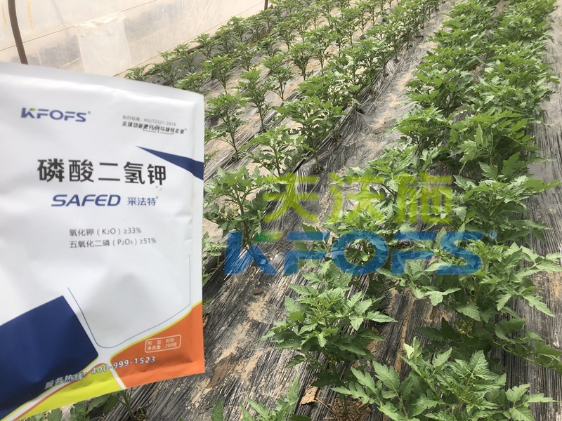 好的磷酸二氫鉀是什么樣的？