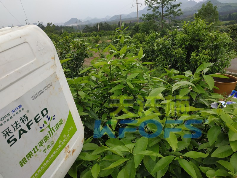 水溶肥的合理價(jià)格究竟如何判斷？這幾點(diǎn)很重要！