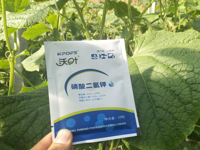 夫沃施離子磷酸二氫鉀，效果看得見！