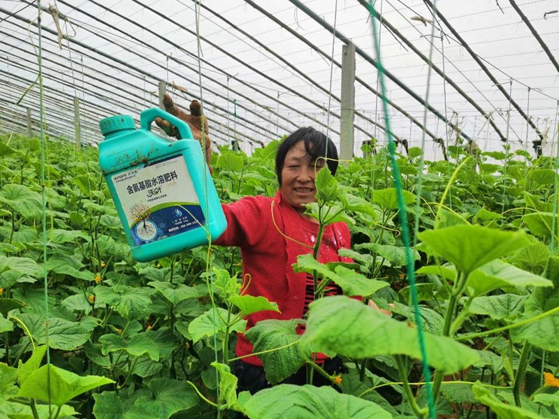 蔬菜沖施肥怕凍嗎？