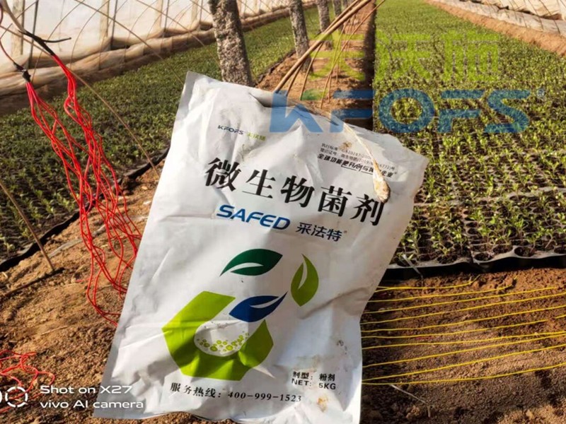 辣椒苗期用什么水溶肥長(zhǎng)得好？