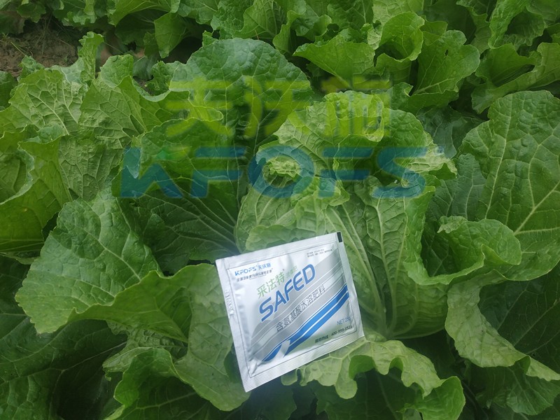 白菜葉面肥哪家好？