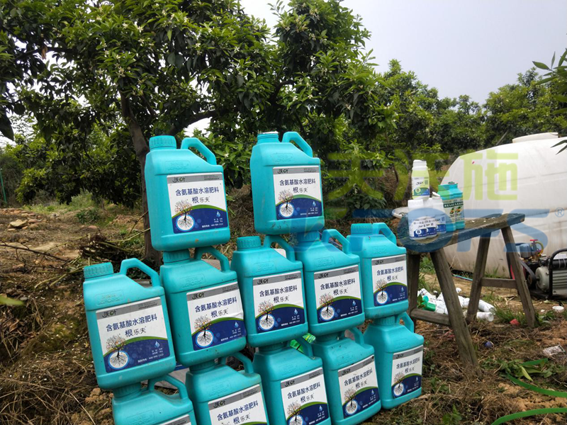 沃葉水溶肥在柑橘區(qū)，脫穎而出的關(guān)鍵所在