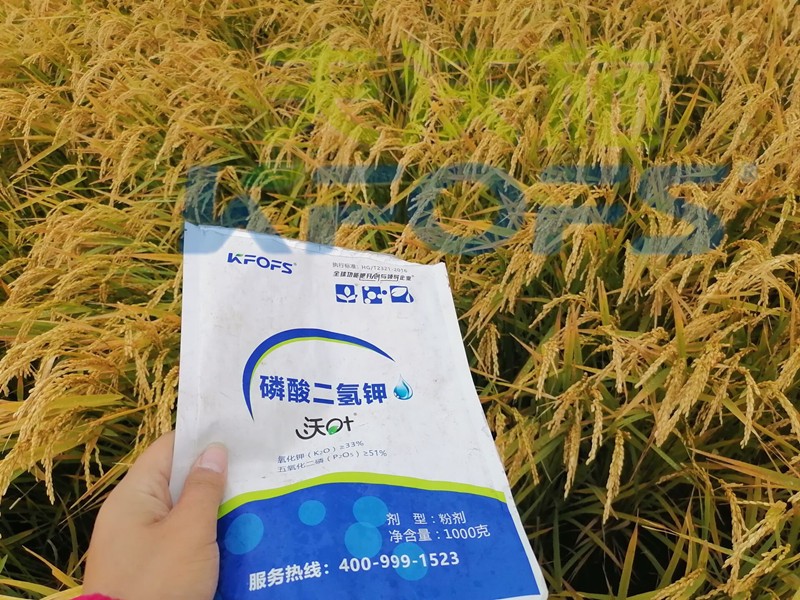 磷酸二氫鉀的功效和作用，這三點(diǎn)必看！