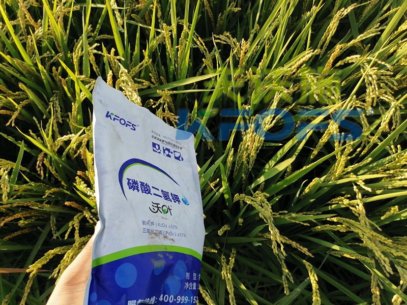 好的磷酸二氫鉀是什么樣的？