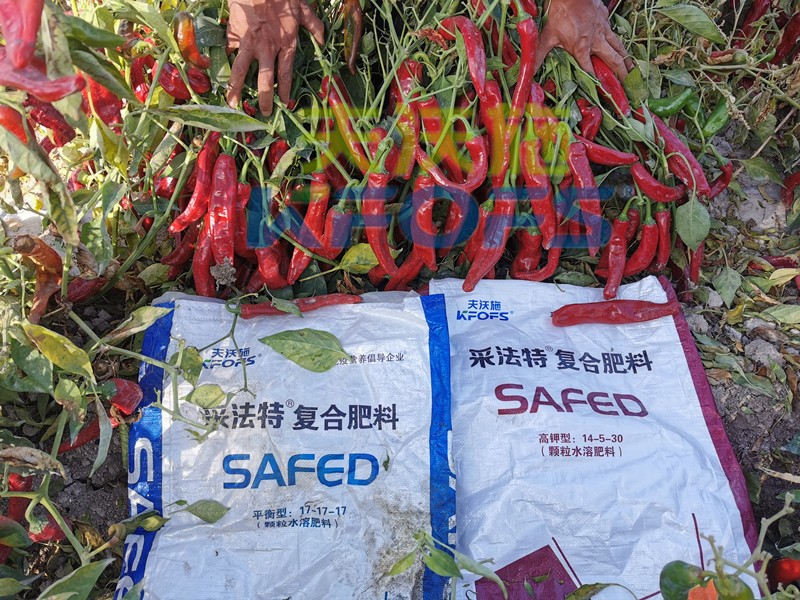 水溶肥公司查不到？值得信賴嗎？