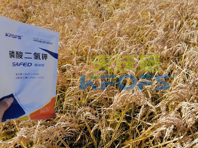 磷酸二氫鉀價格影響效果嗎？