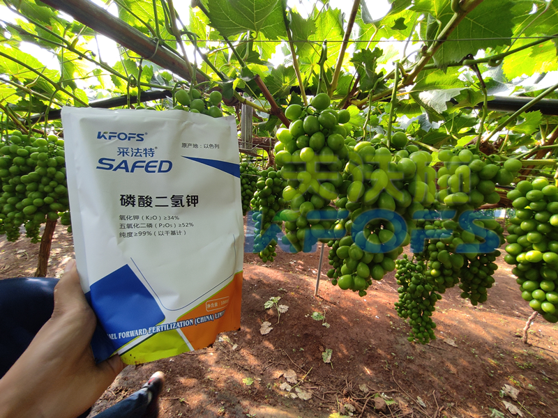 水溶肥競爭那么大，農(nóng)資經(jīng)銷商如何打破困境？