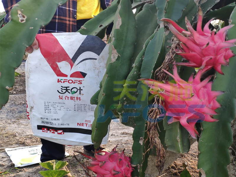 大量元素水溶肥如何使用、什么樣的最好？