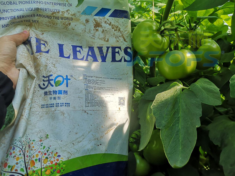 微生物菌劑怎么用，效果佳？