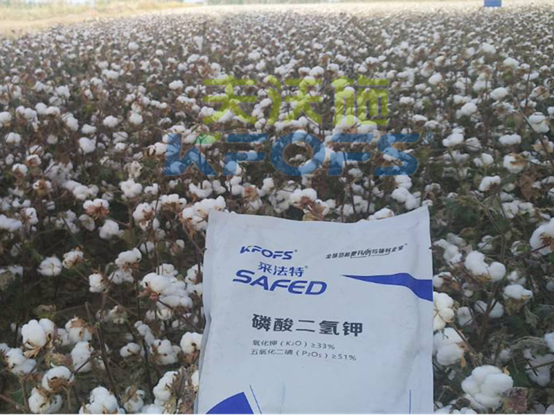 水溶肥哪家好？楊老板說他只信賴采法特！