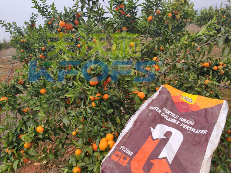 復合肥能當水溶肥用嗎？