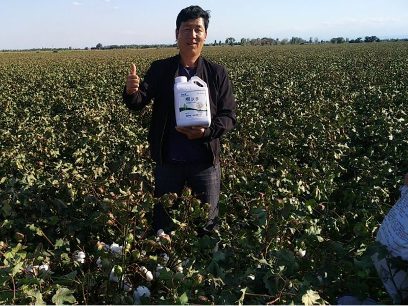 采法特水溶肥效果怎么樣？