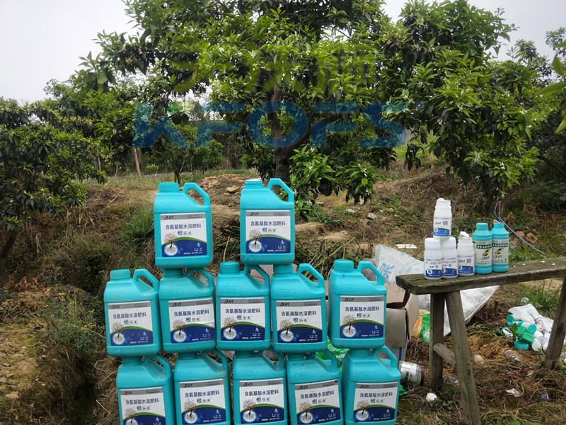 水溶肥在柑橘上怎么使用效果好，一定要收藏