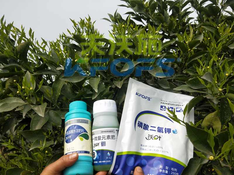 ?；ū９~面肥，你用對(duì)了嗎？