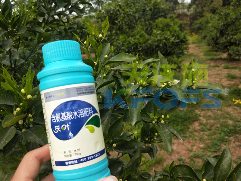 葉面肥是什么肥料，有哪些你不知道的秘密