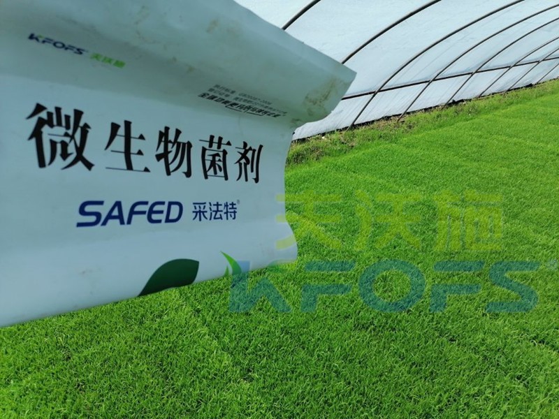 微生物菌劑作用大，改良土壤就靠它