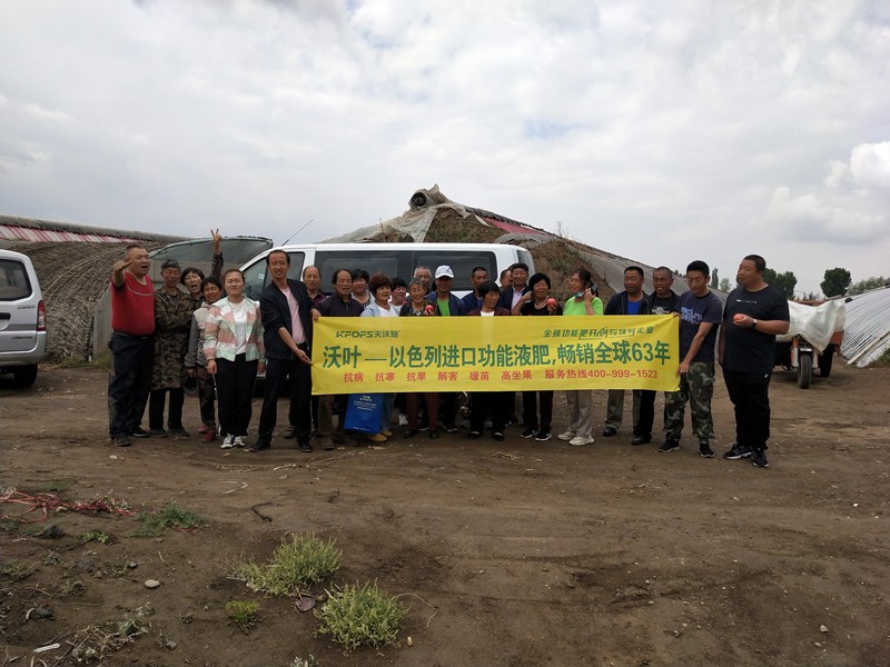 夫沃施是不是進(jìn)口肥料？