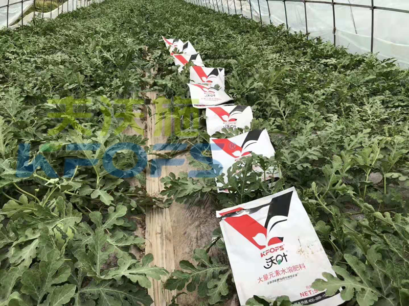 水溶肥品牌多？教你分類選擇和使用