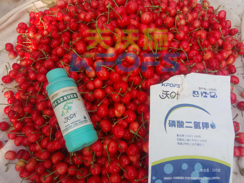 ?；ū９~面肥，哪個(gè)牌子好？