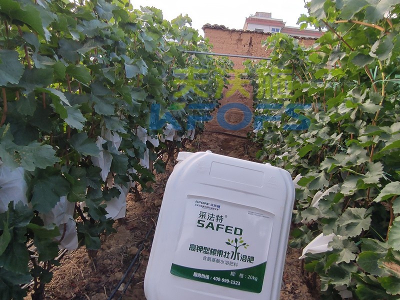 水溶肥發(fā)展好的原因