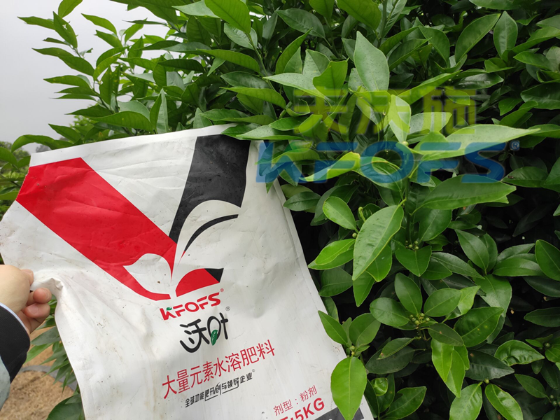 水溶肥的利弊，你了解多少？