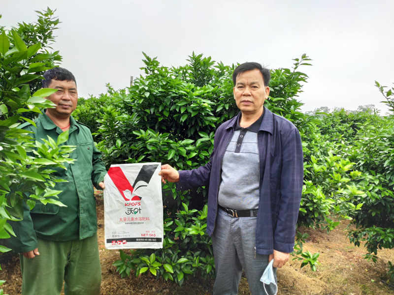 水溶肥-柑橘用沃葉大量元素水溶肥效果1.png