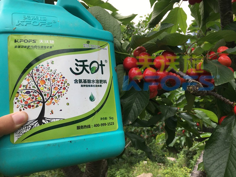 水溶肥廠家不知如何選，攻略來了