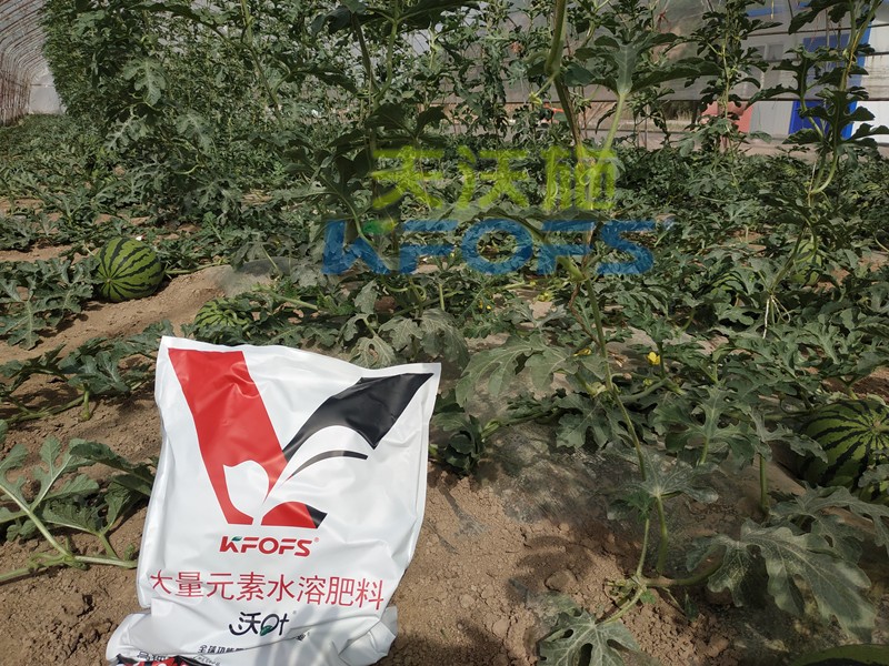 水溶肥品牌選它，未來十年不用換