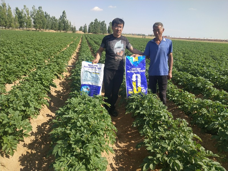 進(jìn)口水溶肥和國產(chǎn)水溶肥的區(qū)別，主要分為三點(diǎn)