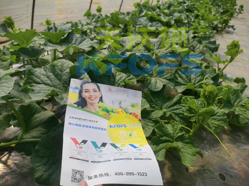 進(jìn)口水溶肥和國(guó)產(chǎn)水溶肥，二者如何選擇好