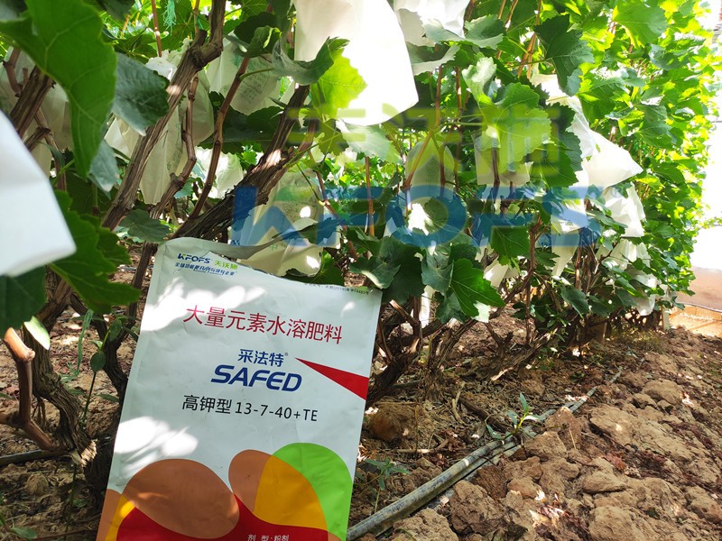 水溶肥品牌選它，就對(duì)了