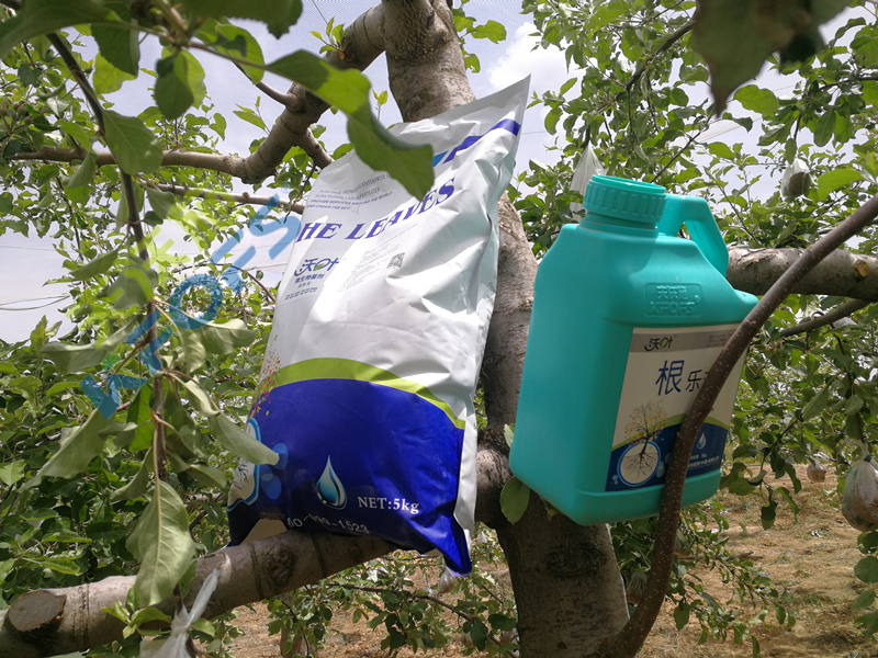 沃葉水溶肥怎么樣？種植戶的心聲