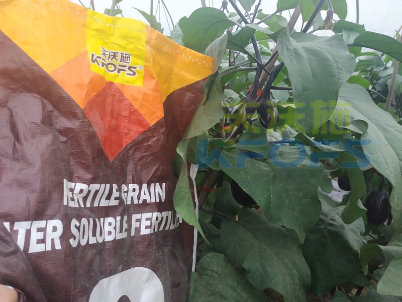 水溶肥廠家那么多，如何判斷值不值得信賴