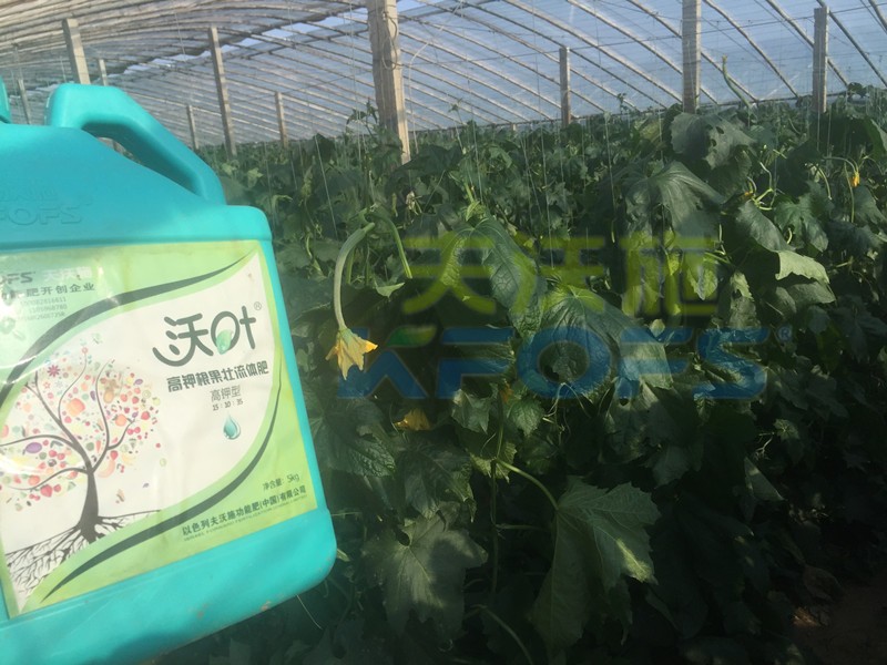 水溶肥好在哪里，怎么用才能效果好？