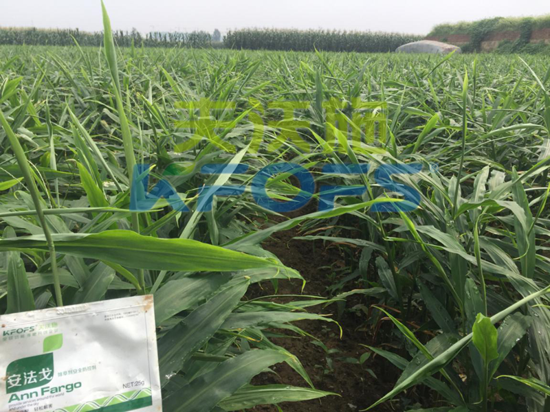 除草劑藥害解除，用它就對(duì)了