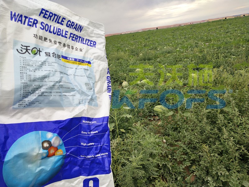 顆粒水溶肥與粉劑水溶肥的區(qū)別？