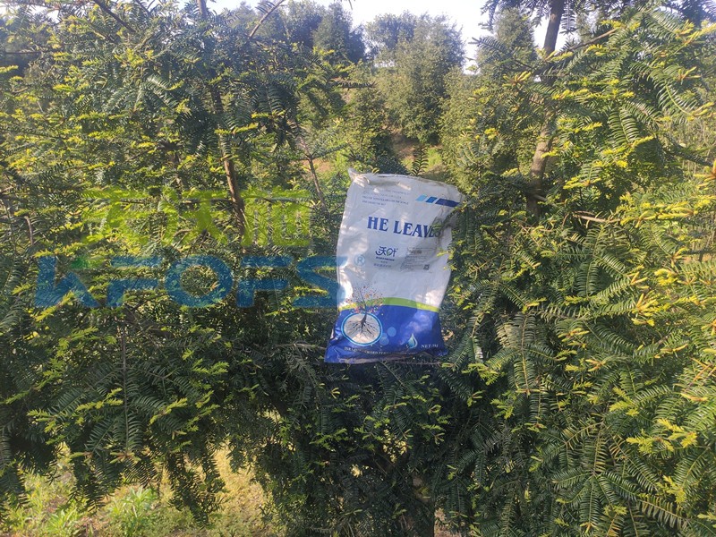 水溶肥為什么比復(fù)合肥好？有哪些區(qū)別