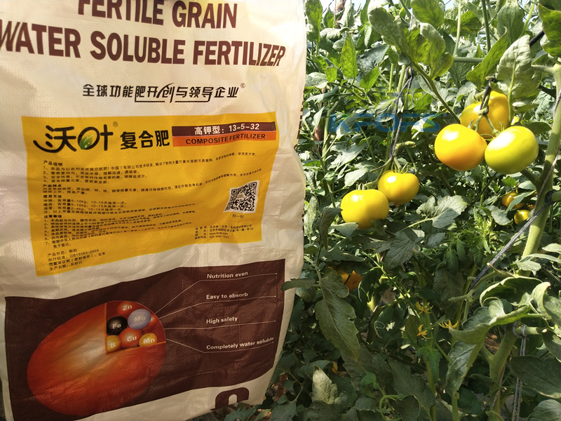 西紅柿果實膨大快用什么肥料-沃葉高鉀顆粒水溶肥1.png
