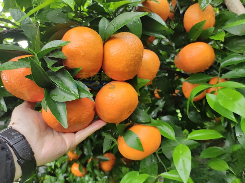 【已用】回訪時(shí)間：2021.4 (4).jpg