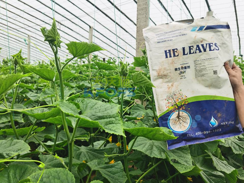 微生物菌劑哪個牌子好？莊總只認可這款！